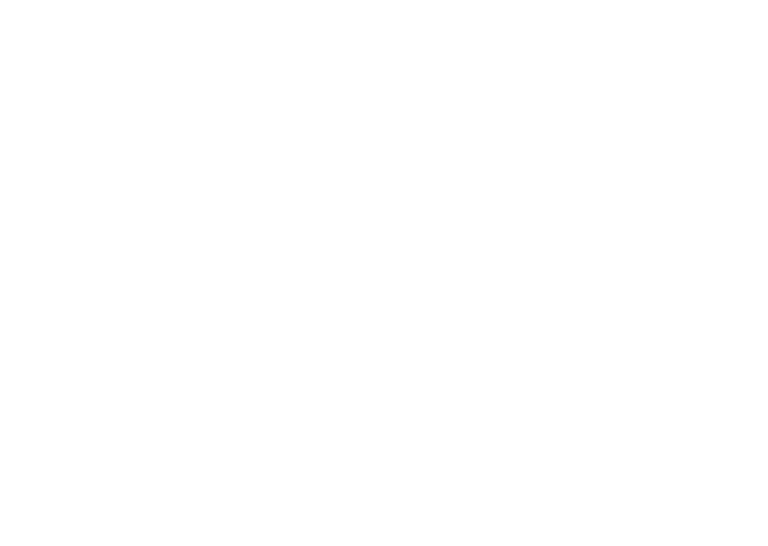 devin-wild-logo